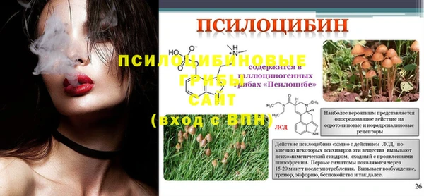 MDMA Premium VHQ Медвежьегорск