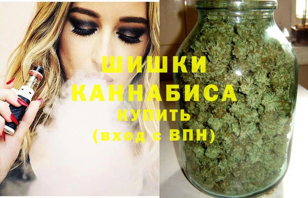 гидропоника Мегион