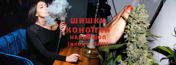 гидропоника Богданович
