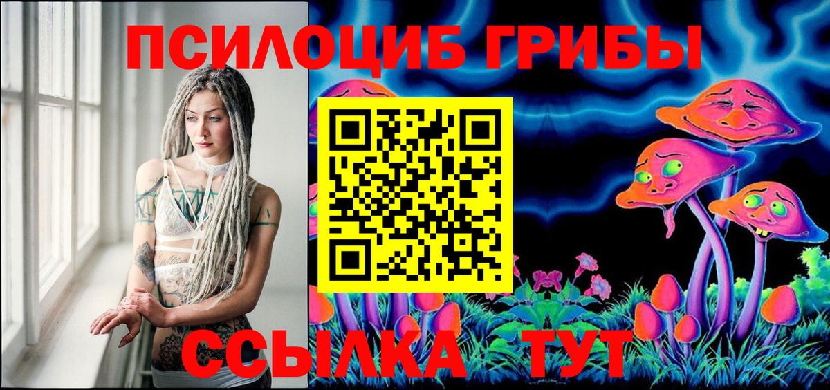 Псилоцибиновые грибы прущие грибы  Мичуринск  Псилоцибиновые грибы MAGIC MUSHROOMS 
