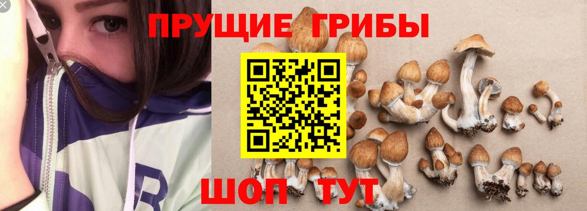 Cocaine  Мичуринск  МЕФ  Хэш  Вход с VPN 