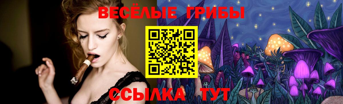 Псилоцибиновые грибы GOLDEN TEACHER  Вход с VPN  Мичуринск  даркнет сайт  Галлюциногенные грибы мицелий 