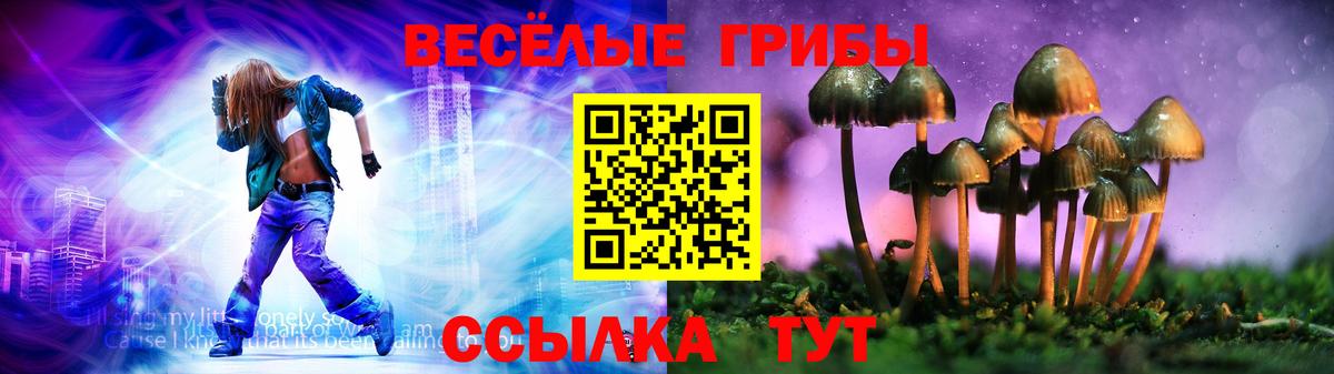 Псилоцибиновые грибы Magic Shrooms Мичуринск