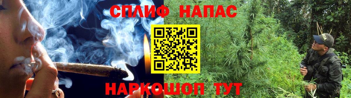 Марихуана OG Kush  Конопля OG Kush  Мичуринск  МАРИХУАНА семена 